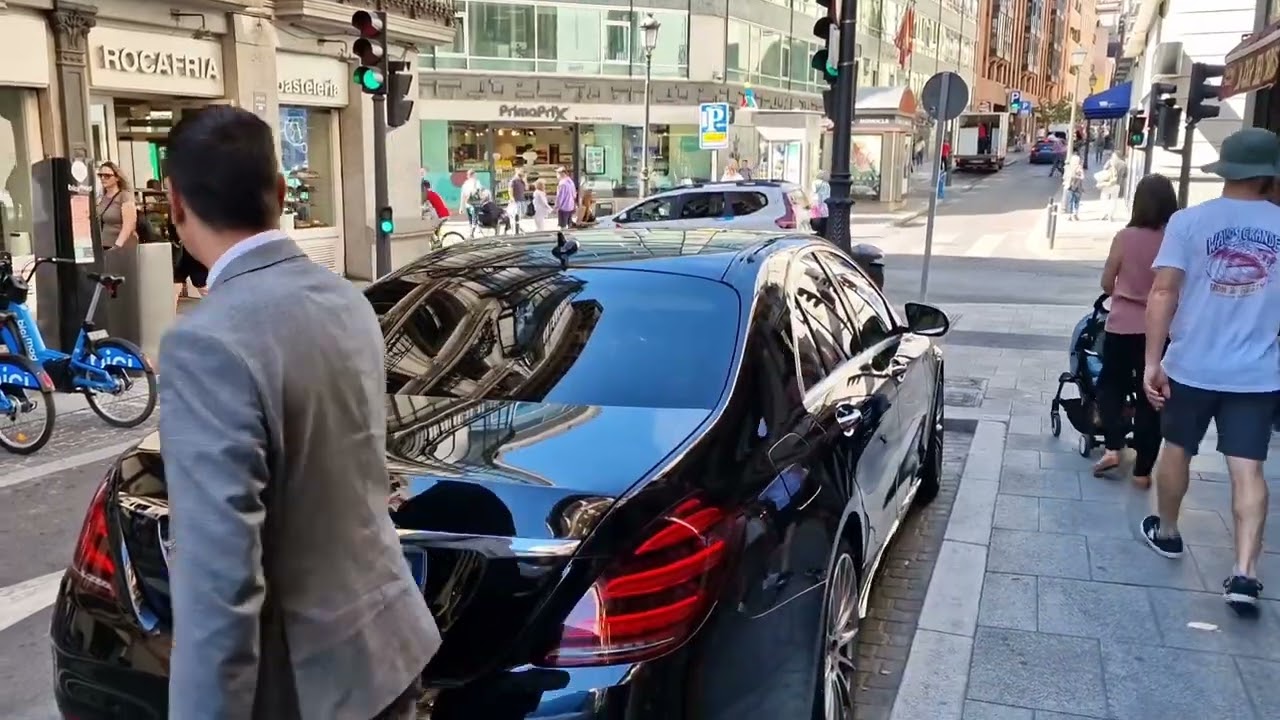 chofer privado sotogrande